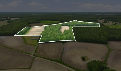 Photo #2 of 1700 Felix Heath, Pink Hill, NC 50.8 acres