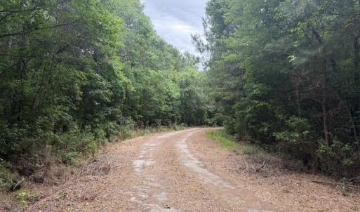 Photo #18 of 1700 Felix Heath, Pink Hill, NC 50.8 acres