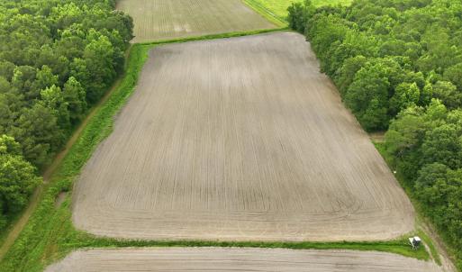Photo #16 of 1700 Felix Heath, Pink Hill, NC 50.8 acres