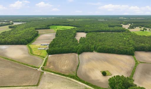 Photo #4 of 1700 Felix Heath, Pink Hill, NC 50.8 acres