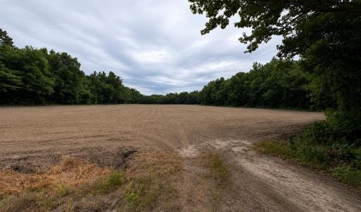 Photo #19 of 1700 Felix Heath, Pink Hill, NC 50.8 acres