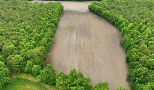 Photo #12 of 1700 Felix Heath, Pink Hill, NC 50.8 acres