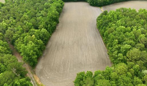 Photo #9 of 1700 Felix Heath, Pink Hill, NC 50.8 acres