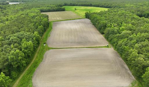 Photo #17 of 1700 Felix Heath, Pink Hill, NC 50.8 acres