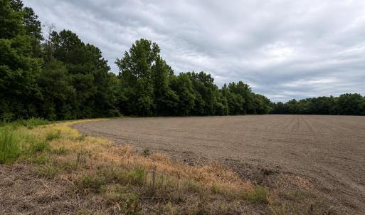 Photo #20 of 1700 Felix Heath, Pink Hill, NC 50.8 acres