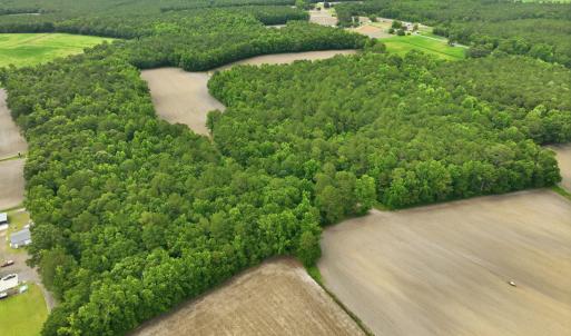 Photo #6 of 1700 Felix Heath, Pink Hill, NC 50.8 acres