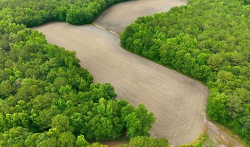 Photo #8 of 1700 Felix Heath, Pink Hill, NC 50.8 acres