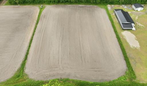 Photo #15 of 1700 Felix Heath, Pink Hill, NC 50.8 acres