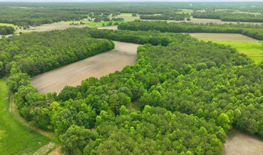 Photo #14 of 1700 Felix Heath, Pink Hill, NC 50.8 acres