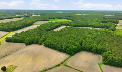 Photo #5 of 1700 Felix Heath, Pink Hill, NC 50.8 acres