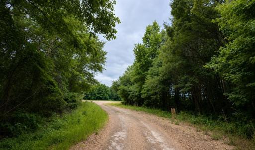 Photo #22 of 1700 Felix Heath, Pink Hill, NC 50.8 acres