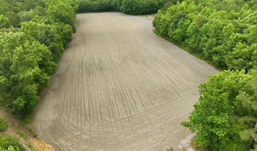 Photo #11 of 1700 Felix Heath, Pink Hill, NC 50.8 acres