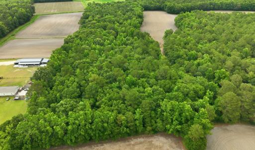Photo #7 of 1700 Felix Heath, Pink Hill, NC 50.8 acres