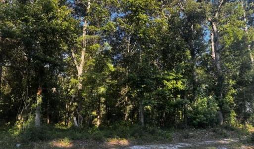 Photo #1 of 2425 Sunset Harbor, Bolivia, NC 0.6 acres