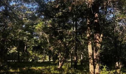 Photo #4 of 2425 Sunset Harbor, Bolivia, NC 0.6 acres
