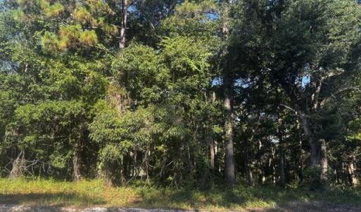 Photo #3 of 2408 Zion Hill Rd, Bolivia, NC 0.9 acres
