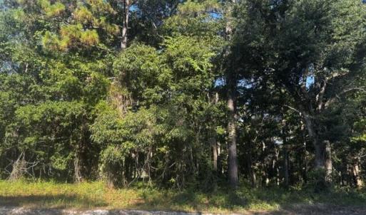 Photo #3 of 2408 Zion Hill Rd, Bolivia, NC 0.9 acres