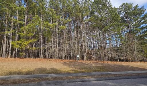 Photo #3 of 175 Broken Ridge, West End, NC 1.4 acres