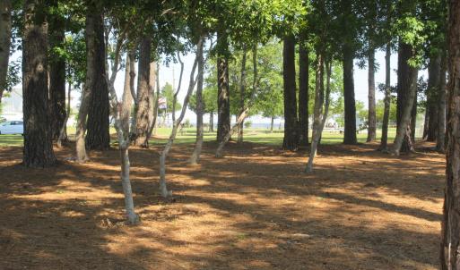 Photo #8 of 105 Mallard, Grandy, NC 0.5 acres