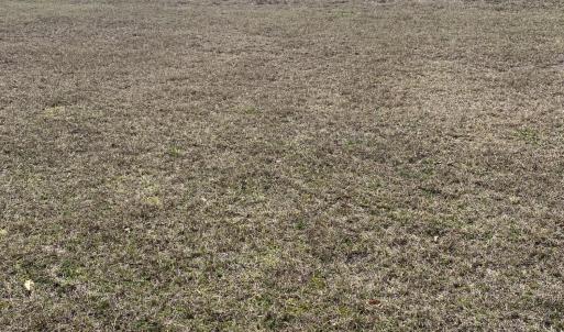 Photo #1 of 309 Schooner Landing, Edenton, NC 0.7 acres
