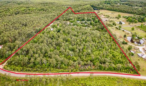 Photo #1 of 225 Gales Creek, Newport, NC 41.0 acres