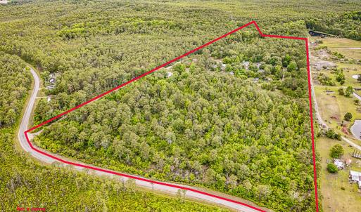 Photo #2 of 225 Gales Creek, Newport, NC 41.0 acres