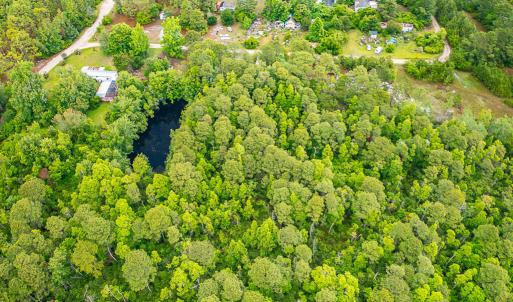 Photo #3 of 225 Gales Creek, Newport, NC 41.0 acres