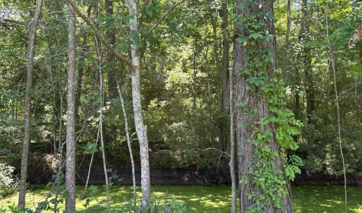 Photo #5 of Near 2072 Waccamaw Shores, Lake Waccamaw, NC 0.4 acres