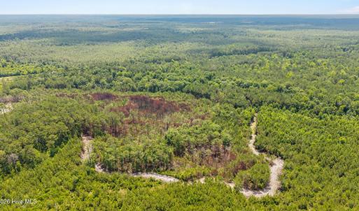 Photo #8 of Old Place, Winnabow, NC 59.1 acres