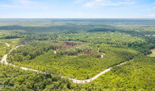 Photo #5 of Old Place, Winnabow, NC 59.1 acres