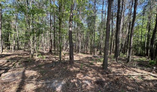 Photo #2 of 28 Hillside, Clinton, NC 1.5 acres