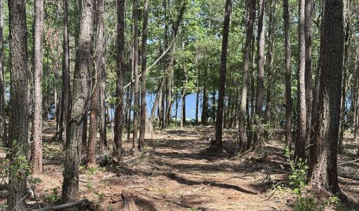 Photo #4 of 28 Hillside, Clinton, NC 1.5 acres