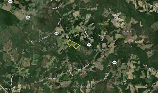 Photo #4 of Off Swamp Fox Hwy, Tabor City, NC 68.0 acres