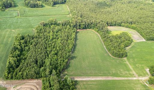 Photo #16 of Off Swamp Fox Hwy, Tabor City, NC 68.0 acres