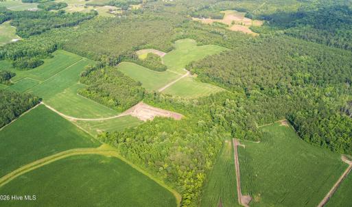 Photo #20 of Off Swamp Fox Hwy, Tabor City, NC 68.0 acres