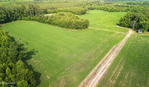 Photo #15 of Off Swamp Fox Hwy, Tabor City, NC 68.0 acres