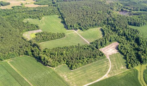 Photo #14 of Off Swamp Fox Hwy, Tabor City, NC 68.0 acres