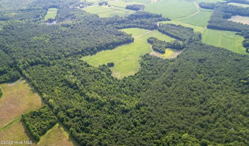 Photo #21 of Off Swamp Fox Hwy, Tabor City, NC 68.0 acres