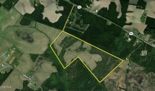 Photo #2 of Off Swamp Fox Hwy, Tabor City, NC 68.0 acres