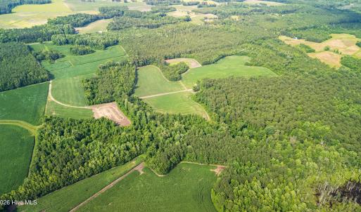 Photo #22 of Off Swamp Fox Hwy, Tabor City, NC 68.0 acres
