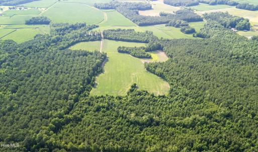 Photo #18 of Off Swamp Fox Hwy, Tabor City, NC 68.0 acres