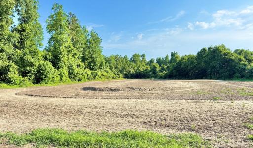 Photo #17 of Off Swamp Fox Hwy, Tabor City, NC 68.0 acres