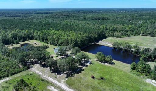 Photo #16 of 4512 Tobacco, Orrum, NC 53.4 acres