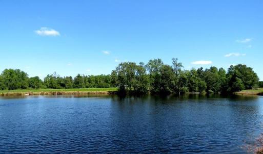 Photo #14 of 4512 Tobacco, Orrum, NC 53.4 acres