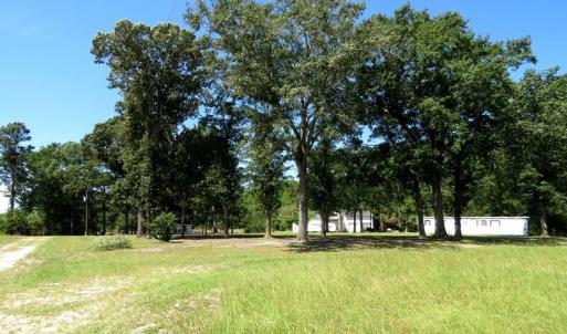 Photo #19 of 4512 Tobacco, Orrum, NC 53.4 acres