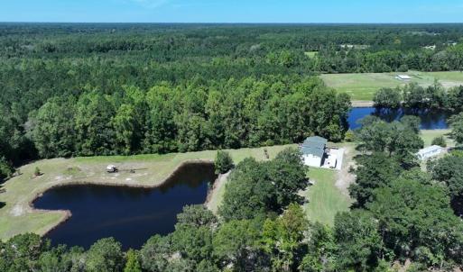 Photo #15 of 4512 Tobacco, Orrum, NC 53.4 acres