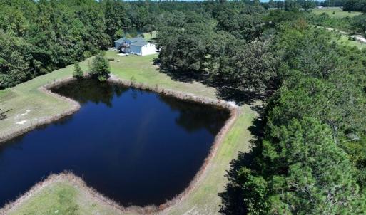Photo #5 of 4512 Tobacco, Orrum, NC 53.4 acres