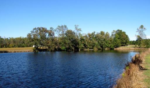 Photo #31 of 4512 Tobacco, Orrum, NC 53.4 acres