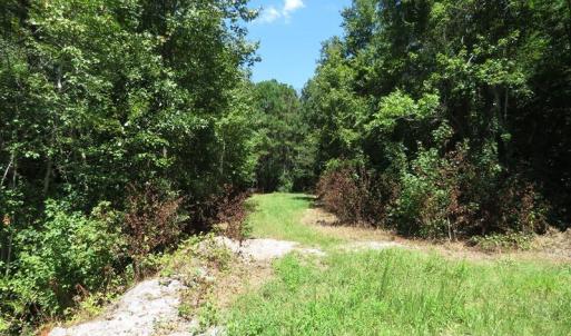 Photo #24 of 4512 Tobacco, Orrum, NC 53.4 acres
