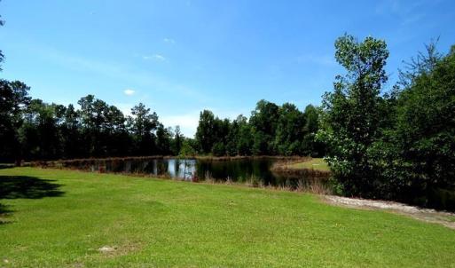 Photo #23 of 4512 Tobacco, Orrum, NC 53.4 acres